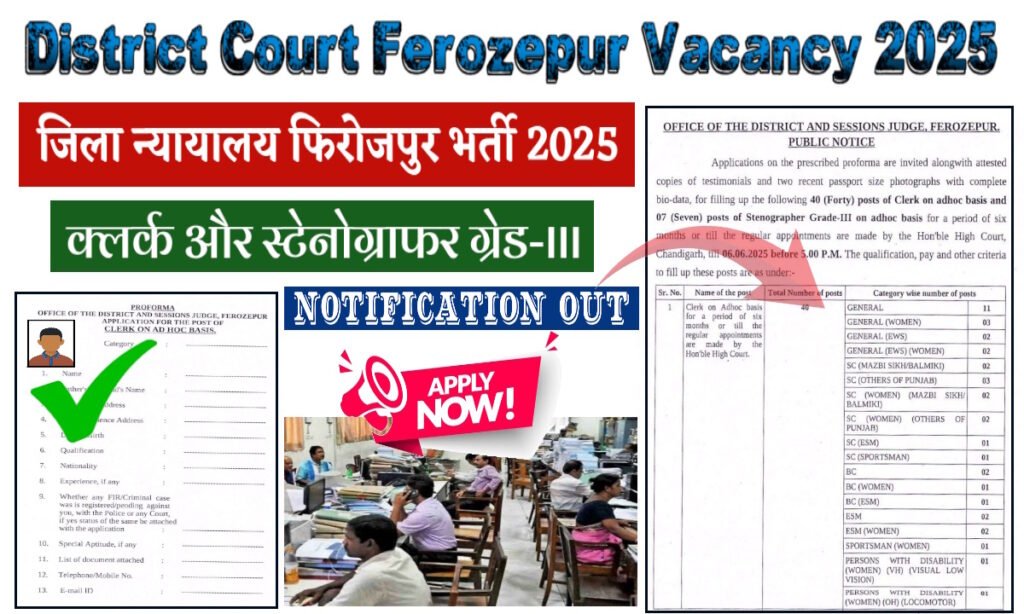 District Court Ferozepur Vacancy 2025